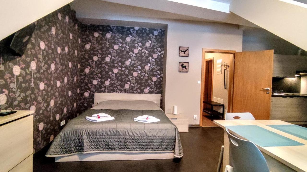 Ferienwohnung Horsky Apartman 1+Kk V Relaxacnim Prostredi Anenskeho Udoli Harrachov Exterior foto