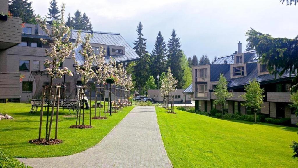 Ferienwohnung Horsky Apartman 1+Kk V Relaxacnim Prostredi Anenskeho Udoli Harrachov Exterior foto