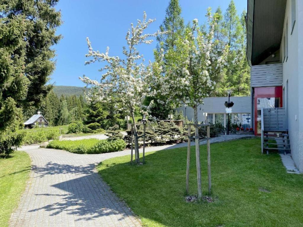 Ferienwohnung Horsky Apartman 1+Kk V Relaxacnim Prostredi Anenskeho Udoli Harrachov Exterior foto
